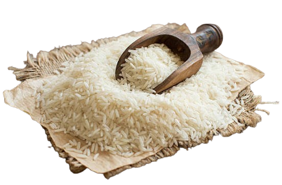 Rice