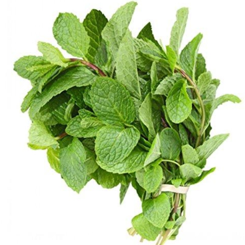 Mint