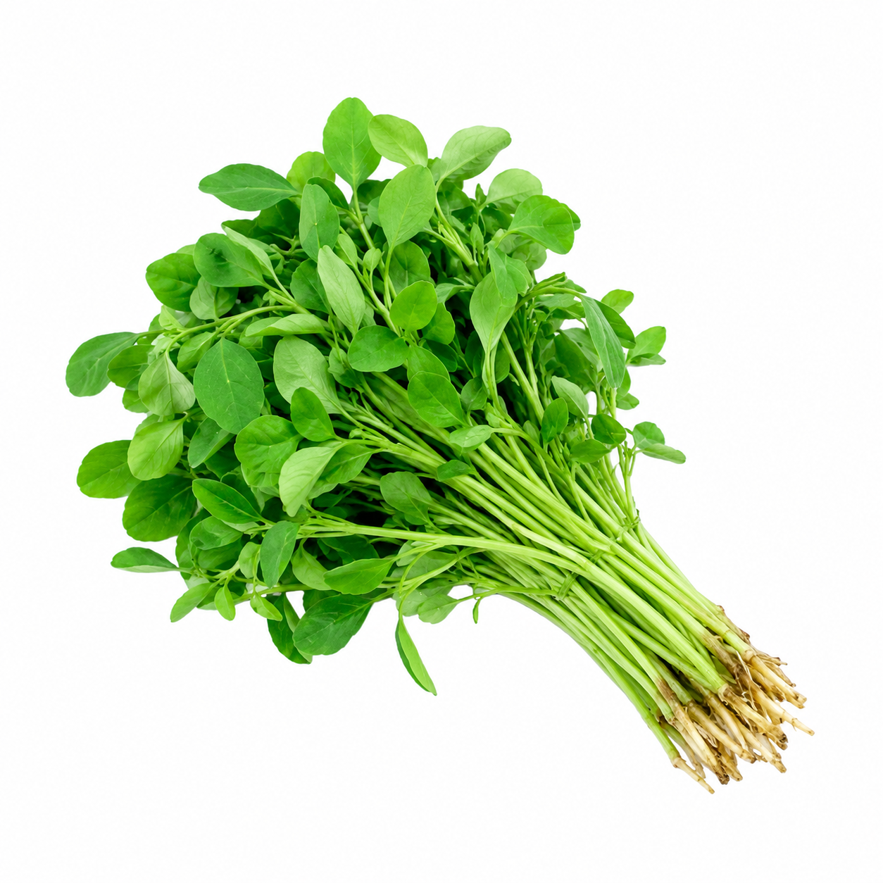 Methi