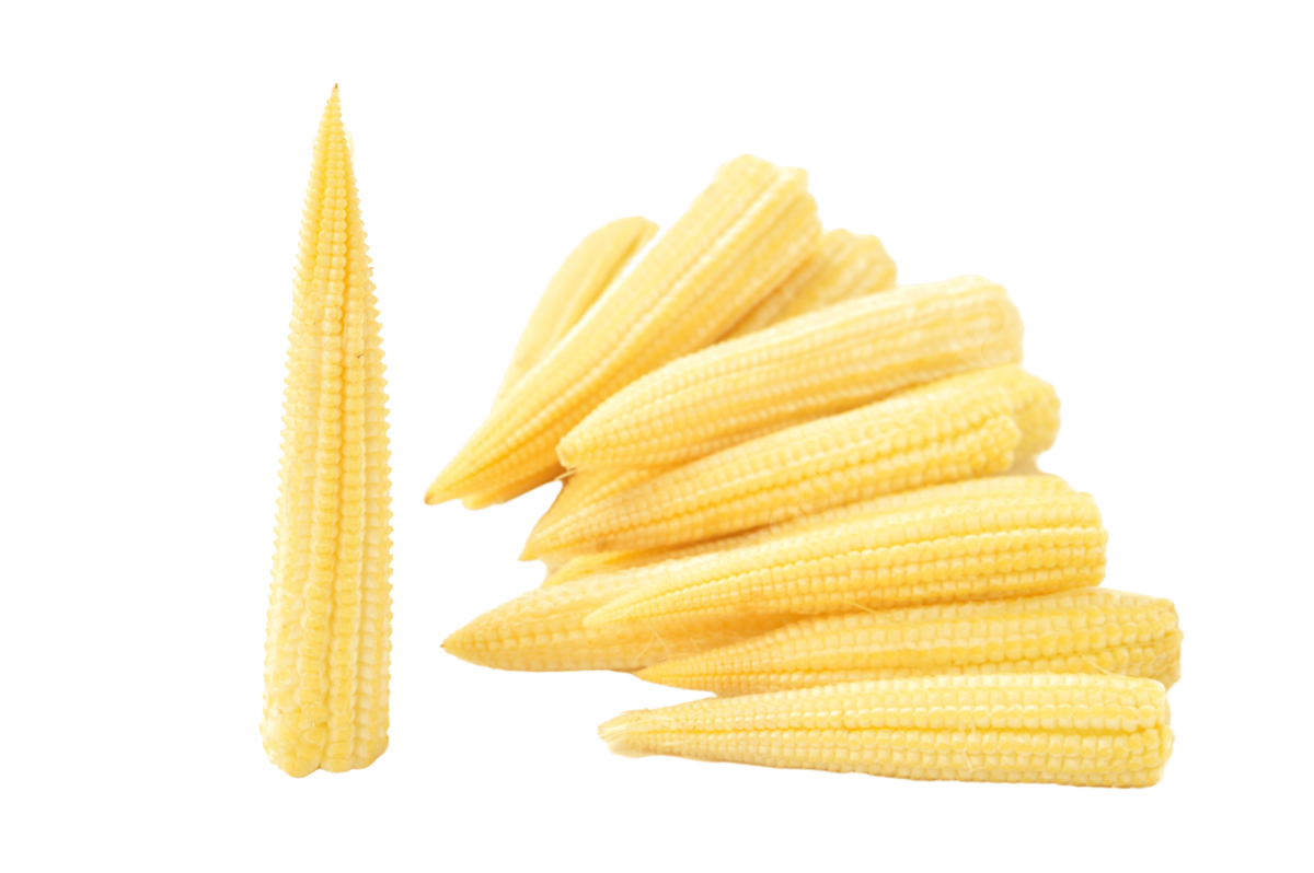 Baby Corn