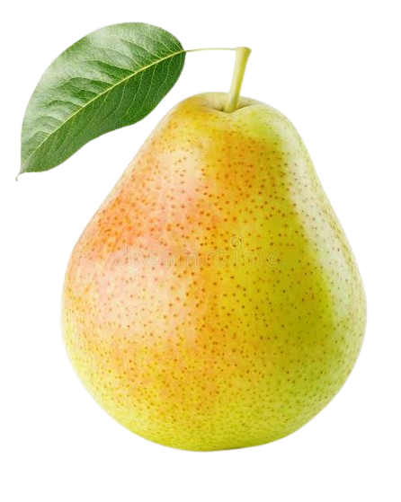 Fresh Pear