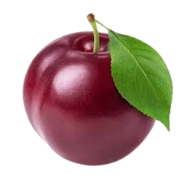 Fresh Plum