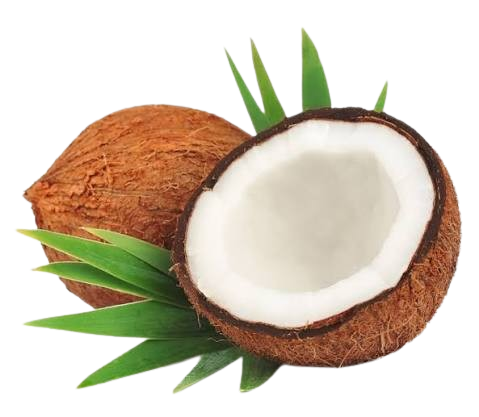 Fresh Coconut