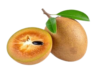 Fresh Chikoo