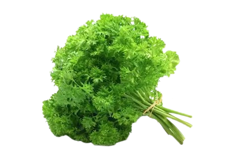 Fresh Parsley अजमोद