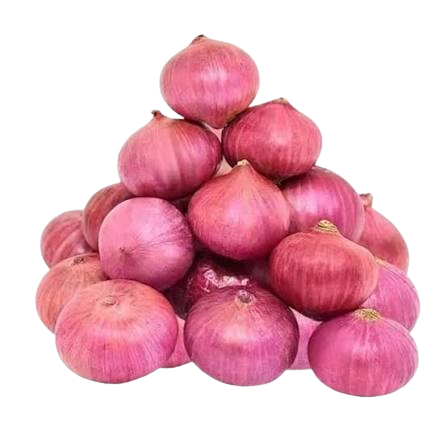 Regular Onion प्याज
