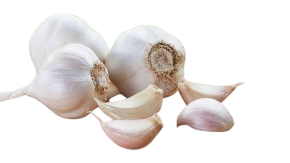 Unpleeled garlic लहसुन